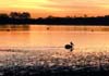 LAKE WOODS